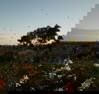 Belubula Cottage Canowindra - Darwin Holiday