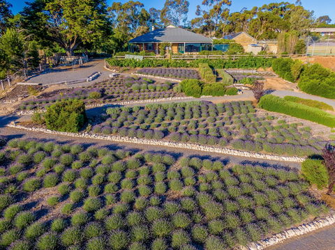 Brayfield Cottage - Darwin Holiday 1