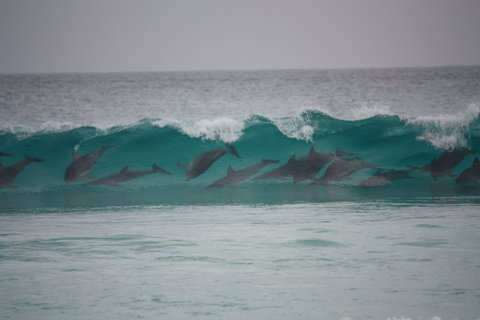 Bremer Bay Caravan Park - Darwin Holiday 1