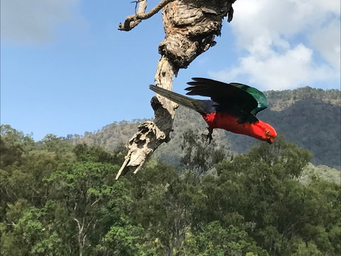 Cave Rock Cottages - Darwin Holiday 2