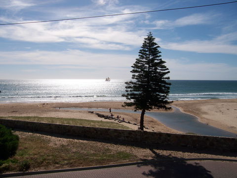Christies Seahorse - Darwin Holiday 1
