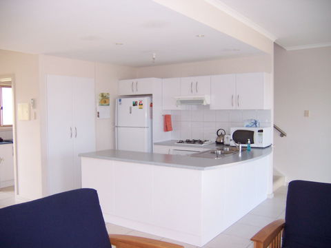 Christies Seahorse - Darwin Holiday 2