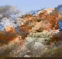 Credo Homestead Camp at Credo Conservation Park