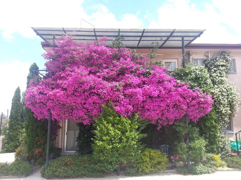 Crest Motor Inn - Darwin Holiday 0