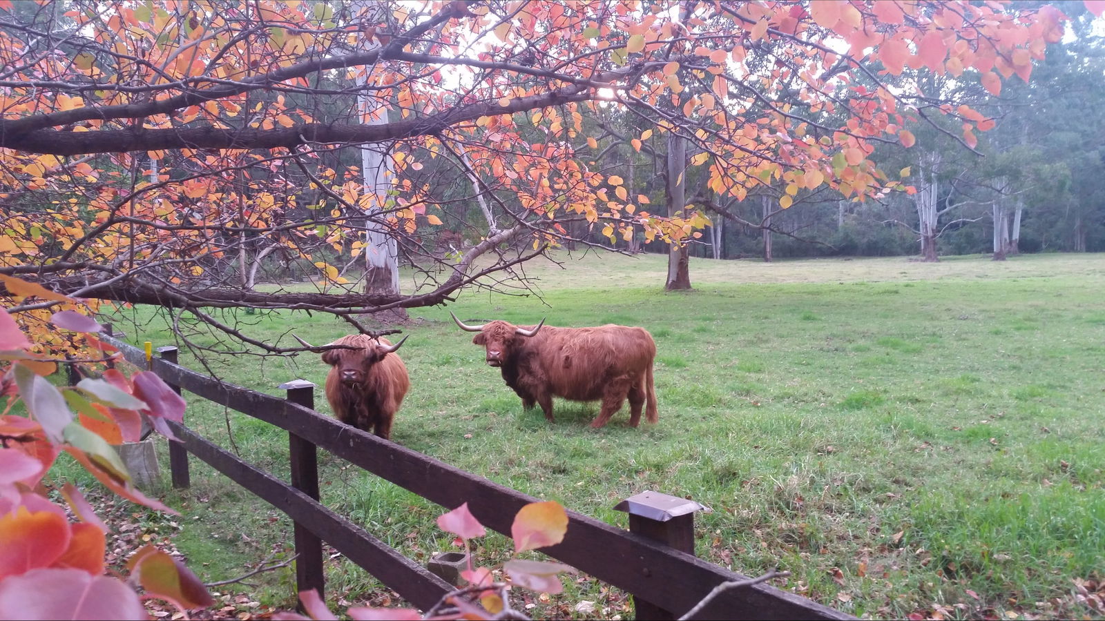 Annangrove NSW Darwin Holiday