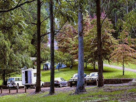 Dingo Tops Campground - Darwin Holiday 2