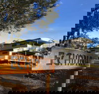 Echidna on Bruny - Darwin Holiday