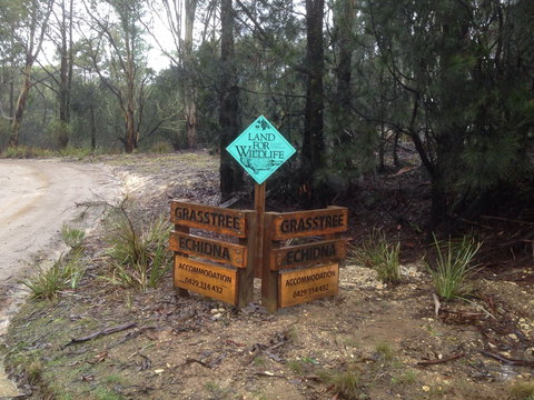 Echidna On Bruny - Darwin Holiday 1