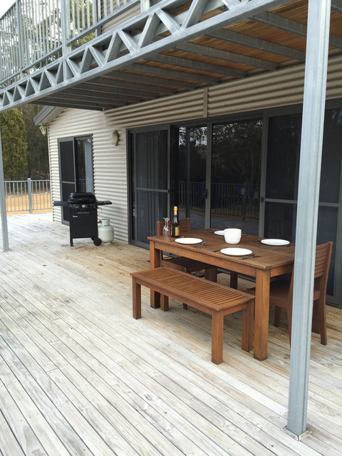 Echidna On Bruny - Darwin Holiday 2