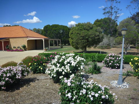 Fairways Bed And  Breakfast At Jerilderie - Darwin Holiday 2