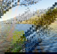 Ferny Creek campground