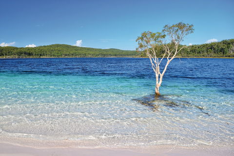 Fraser Island Fishing Units - Darwin Holiday 0