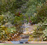 Highland Caravan Park - Darwin Holiday
