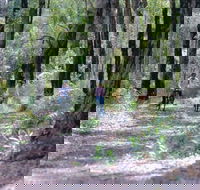 Honeymoon Pool - Gelcoat Camp at Wellington National Park - Darwin Holiday