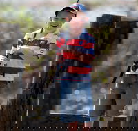 Mehi River Van Park Moree - Darwin Holiday