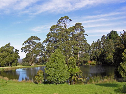 Newry Park Cottage - Darwin Holiday 1