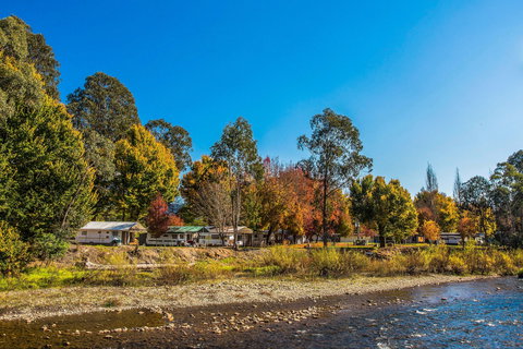 Porepunkah Bridge Holiday Park - Darwin Holiday 1