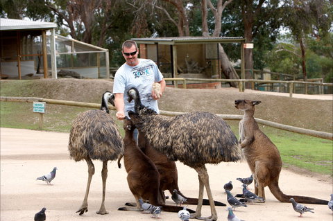 Ramada Resort By Wyndham Ballarat - Darwin Holiday 1
