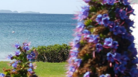 Rock Lobster - Darwin Holiday 2