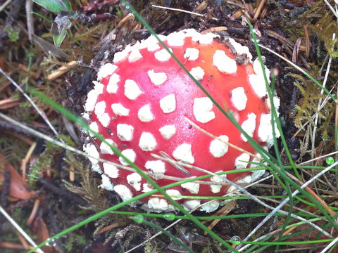 Rosebery Cabin And Tourist Park - Darwin Holiday 2