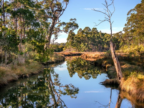 Saintys Creek Cottage - Darwin Holiday 1