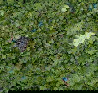 Sanctuary Retreat - Darwin Holiday