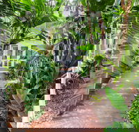 The Guesthouse at Raffertys Resort - Darwin Holiday