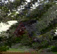 Turkeys Nest Rainforest Cottages Mt Glorious - Darwin Holiday
