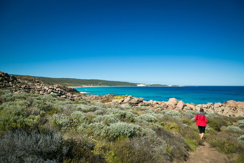 Wyadup Brook Cottages - Darwin Holiday 0