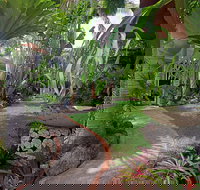 Allure - Darwin Holiday