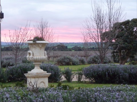 Angas Plains Wines Suites - Darwin Holiday 2