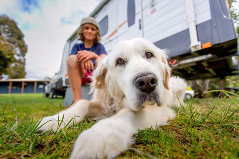 BIG4 St Helens Holiday Park - Darwin Holiday 2