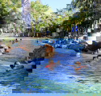 Big4 Aussie Outback Oasis Holiday Park - Darwin Holiday