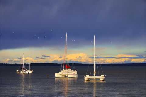 Chappies - Darwin Holiday 0