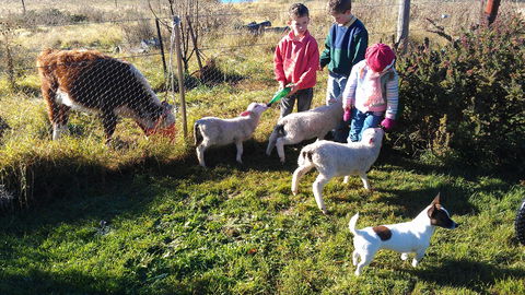 Dairy Park Farm Stay Bed And Breakfast - Darwin Holiday 2