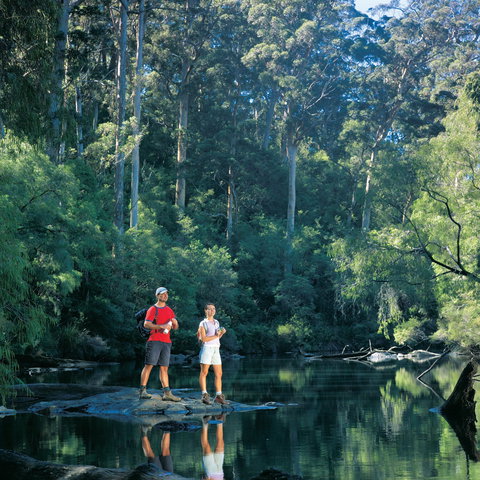Drafty's Camp At Warren National Park - Darwin Holiday 0
