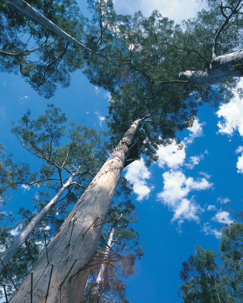 Drafty's Camp At Warren National Park - Darwin Holiday 2