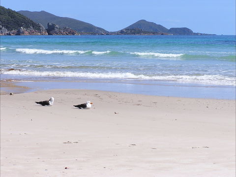 Eagles Rise Tasmania - Darwin Holiday 0