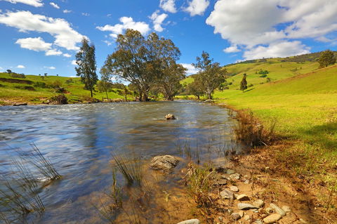 Elm Cottage Tumut - Darwin Holiday 0