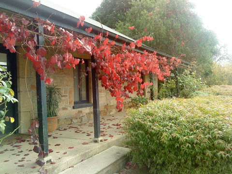 Ethel's Cottage - Darwin Holiday 0