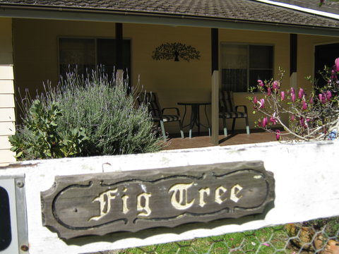 Figtree Cottage - Darwin Holiday 0