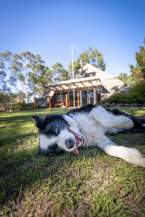 Grampians Getaway - Darwin Holiday 0