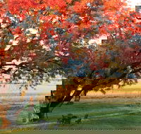 Little Kickabell Country Homestead - Darwin Holiday