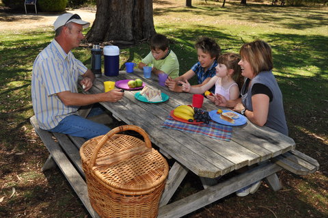 Naracoorte Caves Camping And Accomodation - Darwin Holiday 0