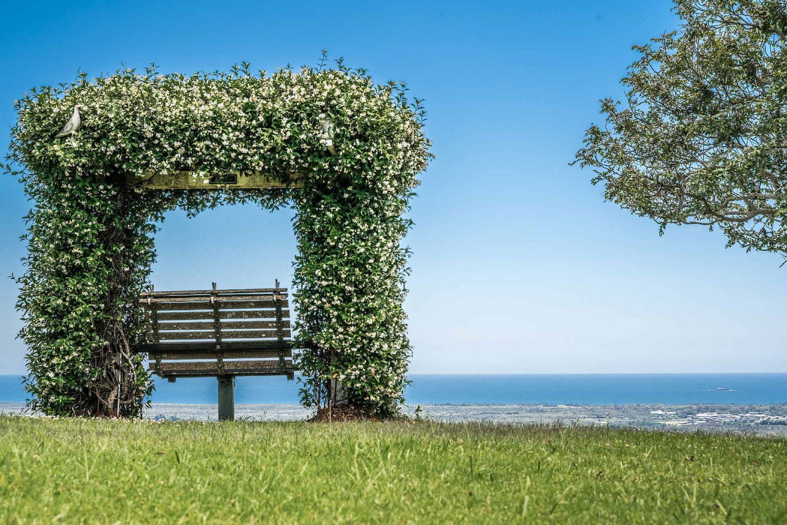 Mcleods Shoot NSW Darwin Holiday