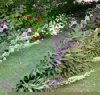 Padthaway Caravan Park - Darwin Holiday