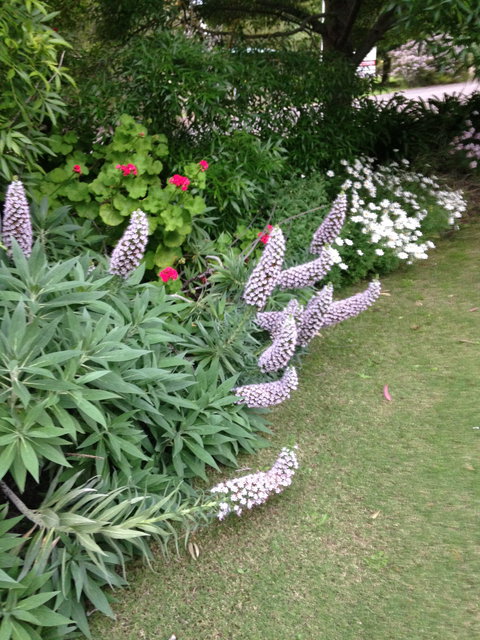 Padthaway Caravan Park - Darwin Holiday 0