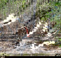 Rakhi Retreat - Darwin Holiday