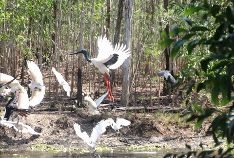 Rakhi Retreat - Darwin Holiday 0