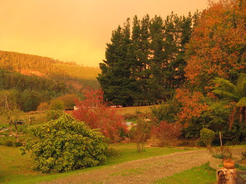 Red Rooster Host Farm - Darwin Holiday 0